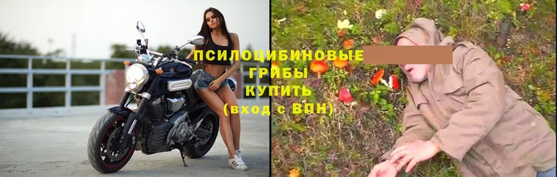 Где купить наркотики Улан-Удэ ГАШИШ  Кокаин  Меф  МАРИХУАНА 