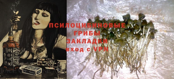 молекула духа Бердск