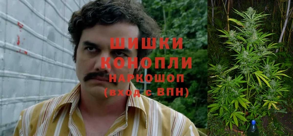 амф Нея