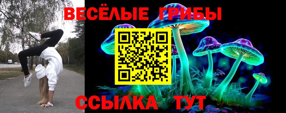 Улан-Удэ  Псилоцибиновые грибы GOLDEN TEACHER  Псилоцибиновые грибы Magic Shrooms  Вход с VPN 
